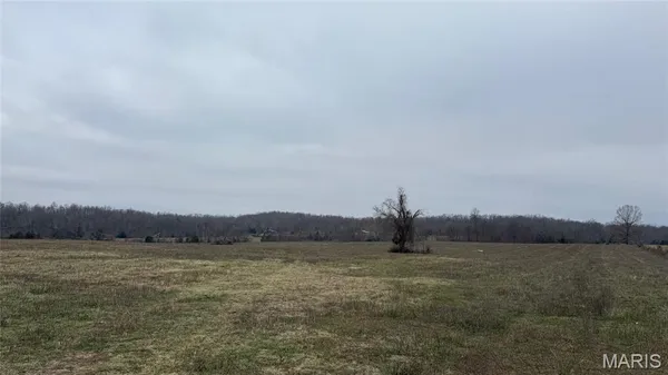 $139,900 | 1 Ripley Z-4, Gatewood, MO 63942