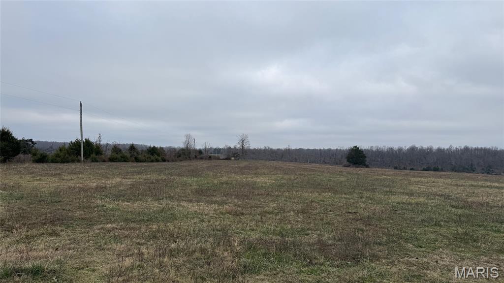 1 Ripley Z-4 Gatewood, MO 63942 - Photo 8 of 10