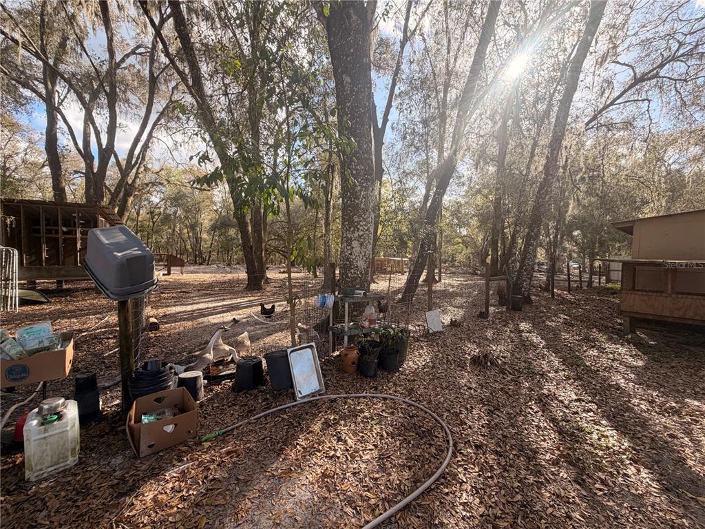 25408 Oneal Road Brooksville, FL 34601 - Photo 45 of 79