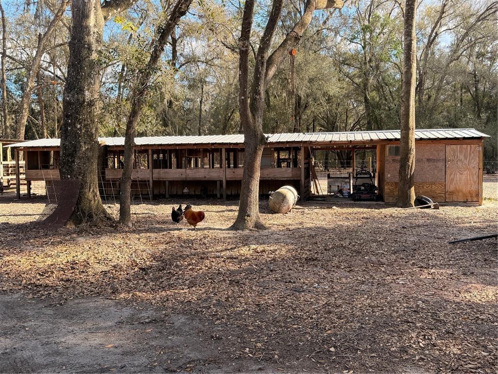 25408 Oneal Road Brooksville, FL 34601 - Photo 50 of 79