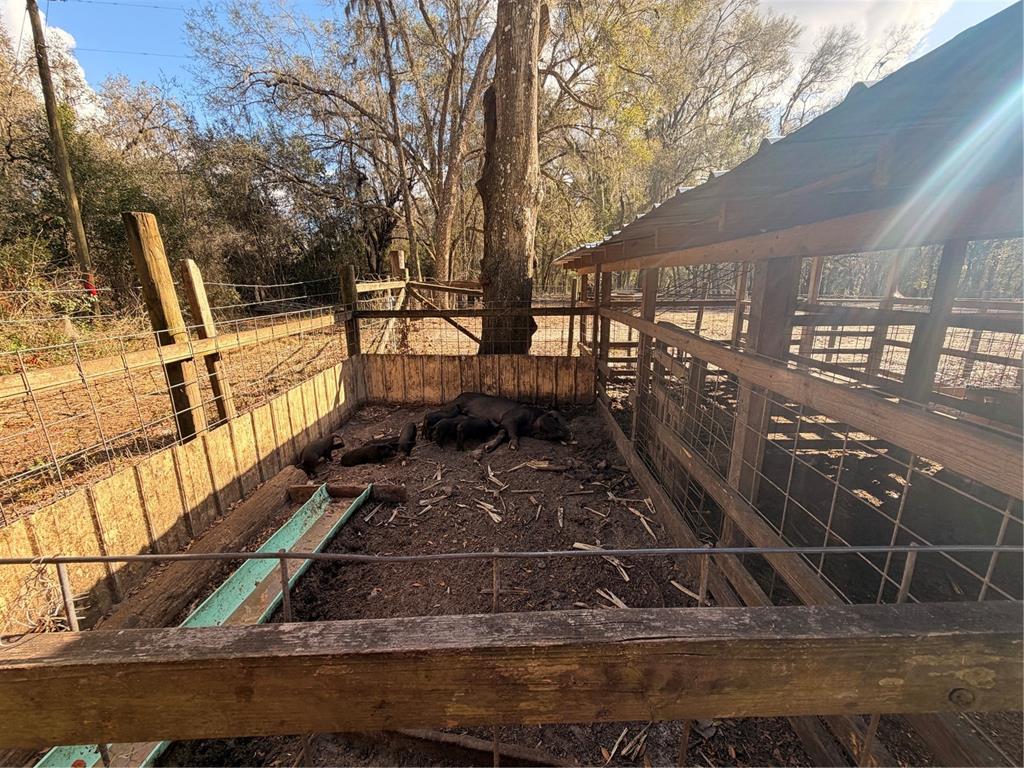 25408 Oneal Road Brooksville, FL 34601 - Photo 54 of 79