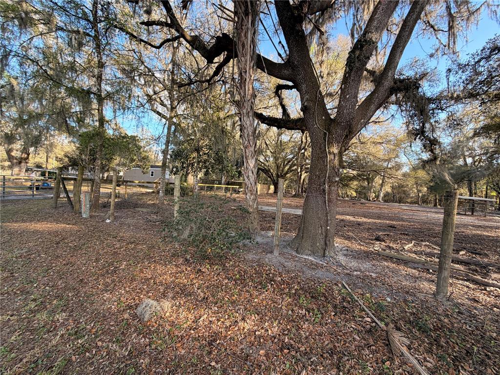 25408 Oneal Road Brooksville, FL 34601 - Photo 78 of 79