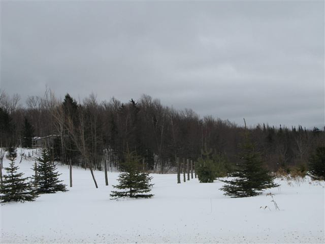 502 Sawyer Hollow Road Summit, NY 12175 - Photo 12 of 12 Photo 12