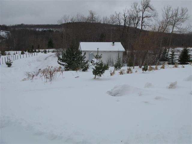 502 Sawyer Hollow Road Summit, NY 12175 - Photo 5 of 12 Photo 5