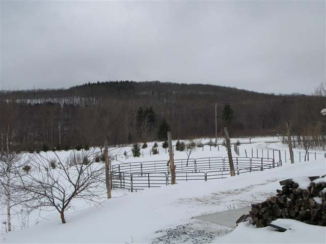 502 Sawyer Hollow Road Summit, NY 12175 - Photo 8 of 12 Photo 8
