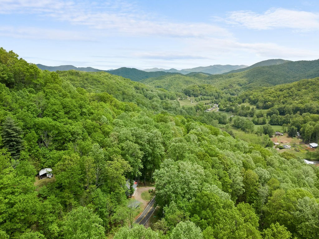 4187 West Old Murphy Road Franklin, NC 28734 - Photo 48 of 54
