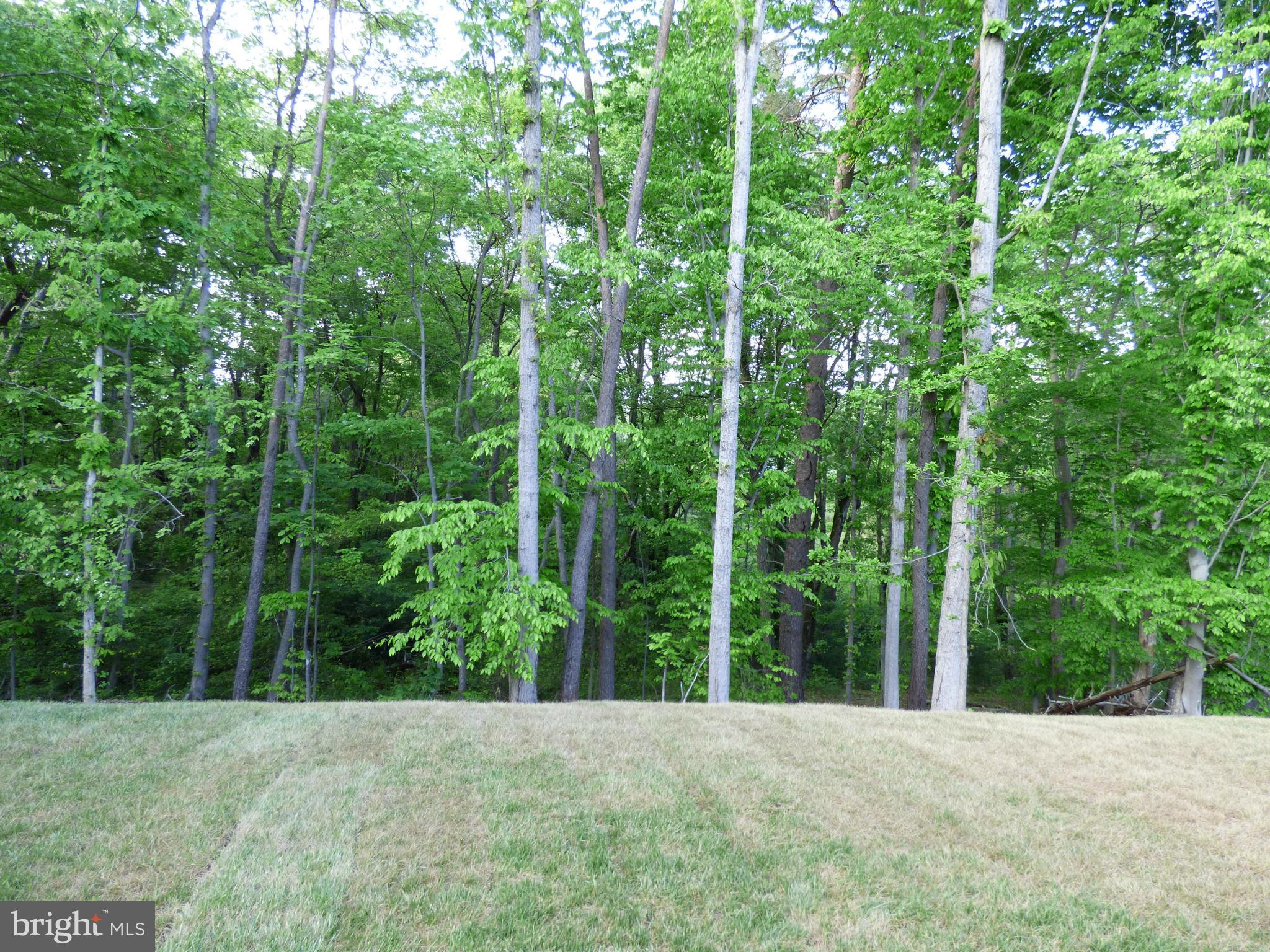25 Harrell Road Fredericksburg, VA 22405 - Photo 27 of 29 Backyard