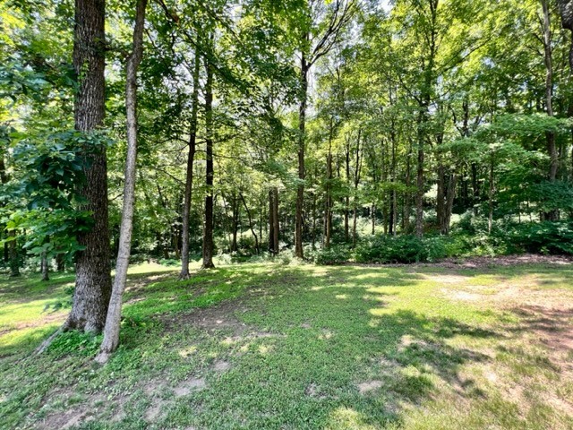 4500 Old Murfreesboro Road West Lebanon, TN 37090 - Photo 54 of 67 Gallery Image 54