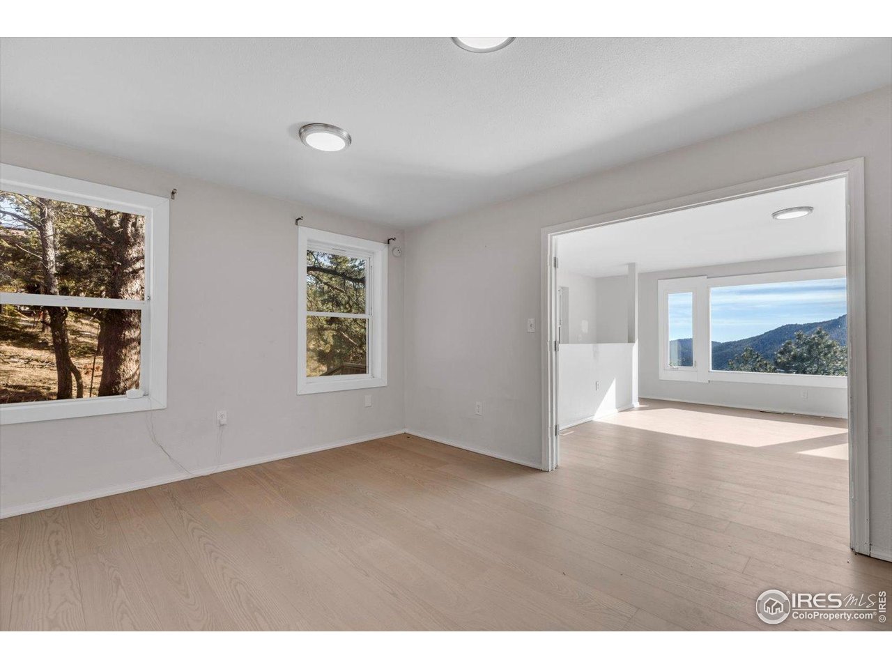 148 Hickok Trail Ward, CO 80481 - Photo 16 of 35 primary bedroom