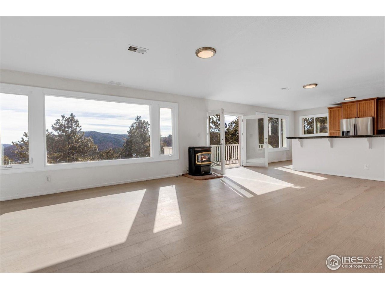 148 Hickok Trail Ward, CO 80481 - Photo 4 of 35