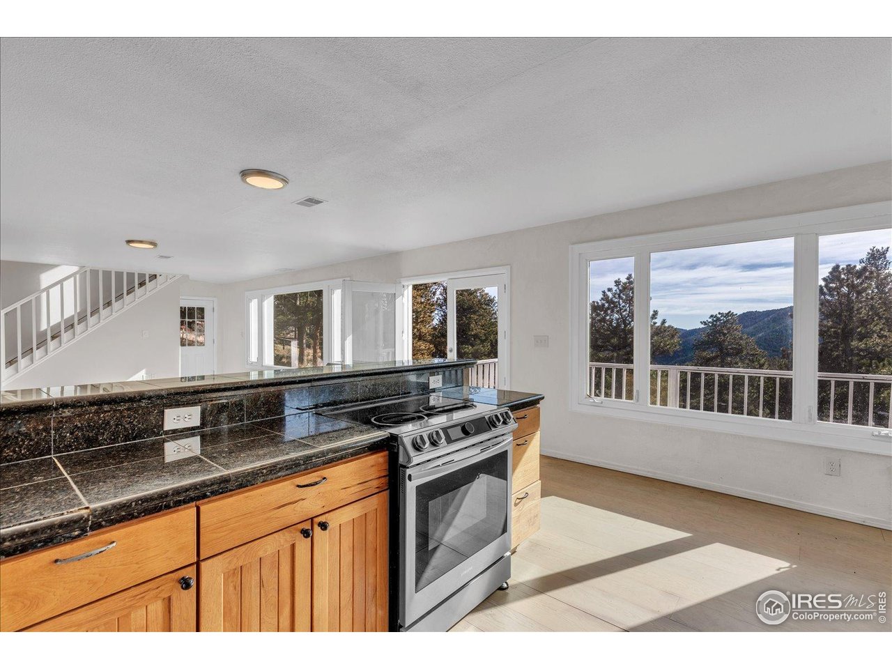 148 Hickok Trail Ward, CO 80481 - Photo 9 of 35