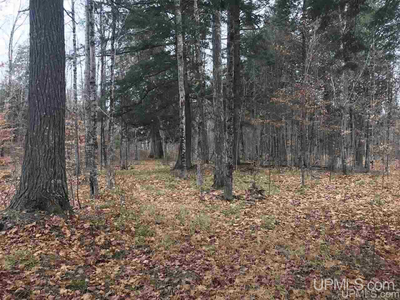 Tbd Off River Road, Unit 2 Hermansville, MI 49847 - Photo 9 of 34