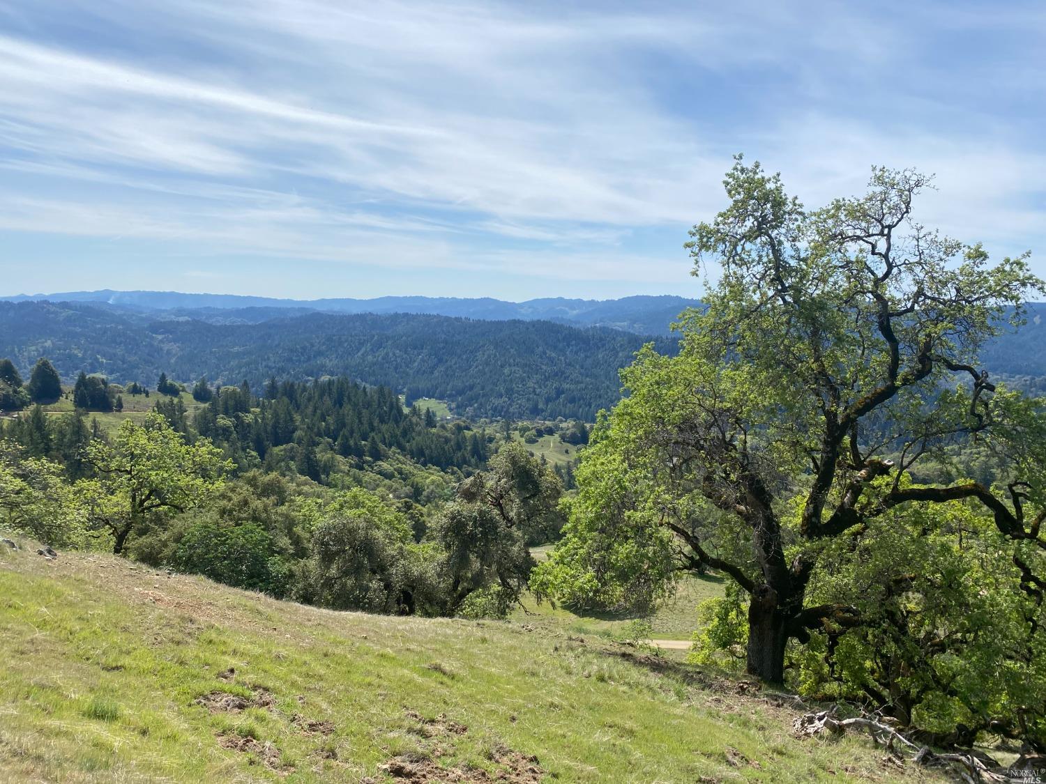 19010 Hulbert Road Hopland, CA 95449 - Photo 20 of 28 Views from the first bench