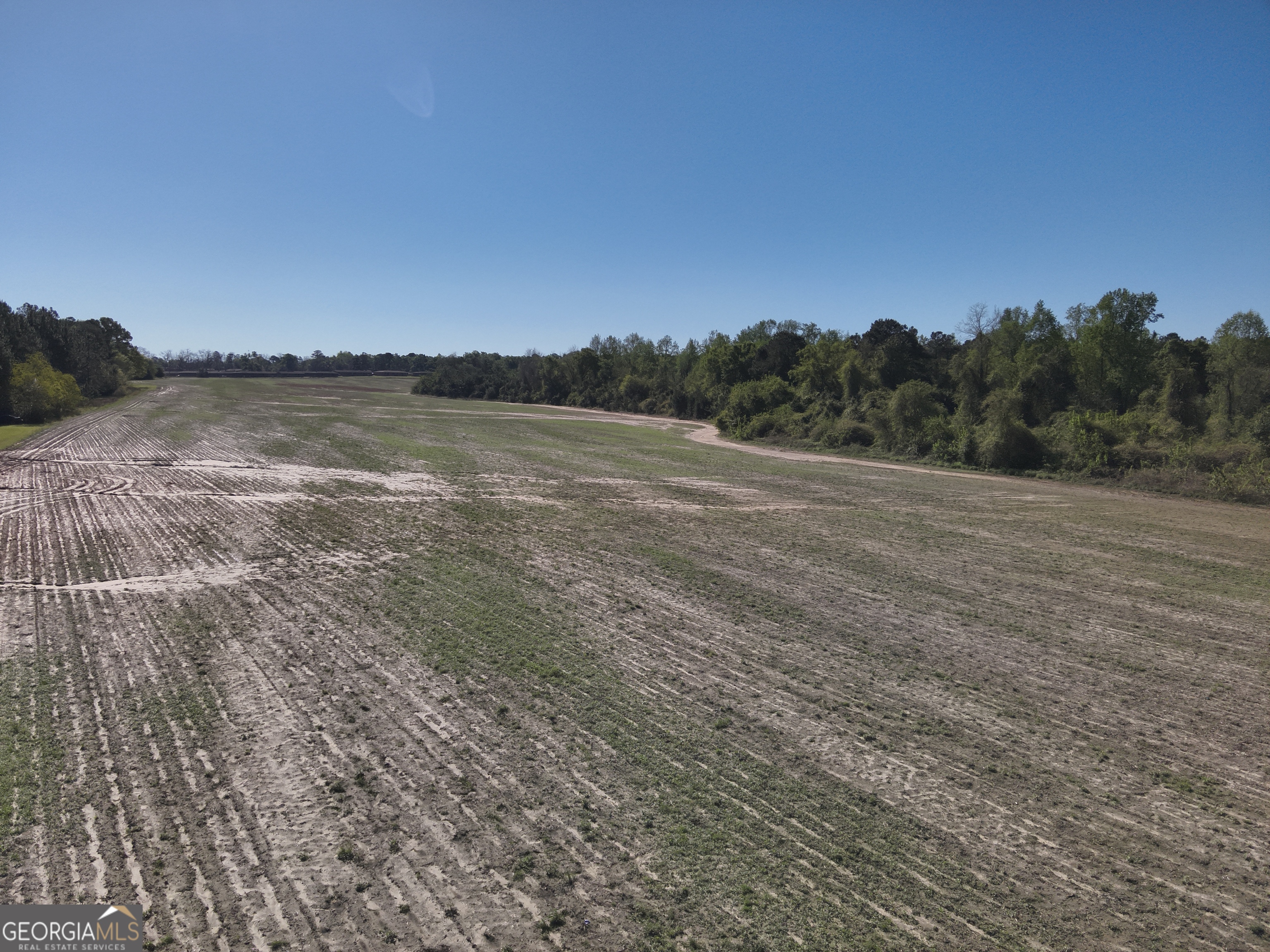 0 Old Pelham Road Pelham, GA 31779 - Photo 4 of 10