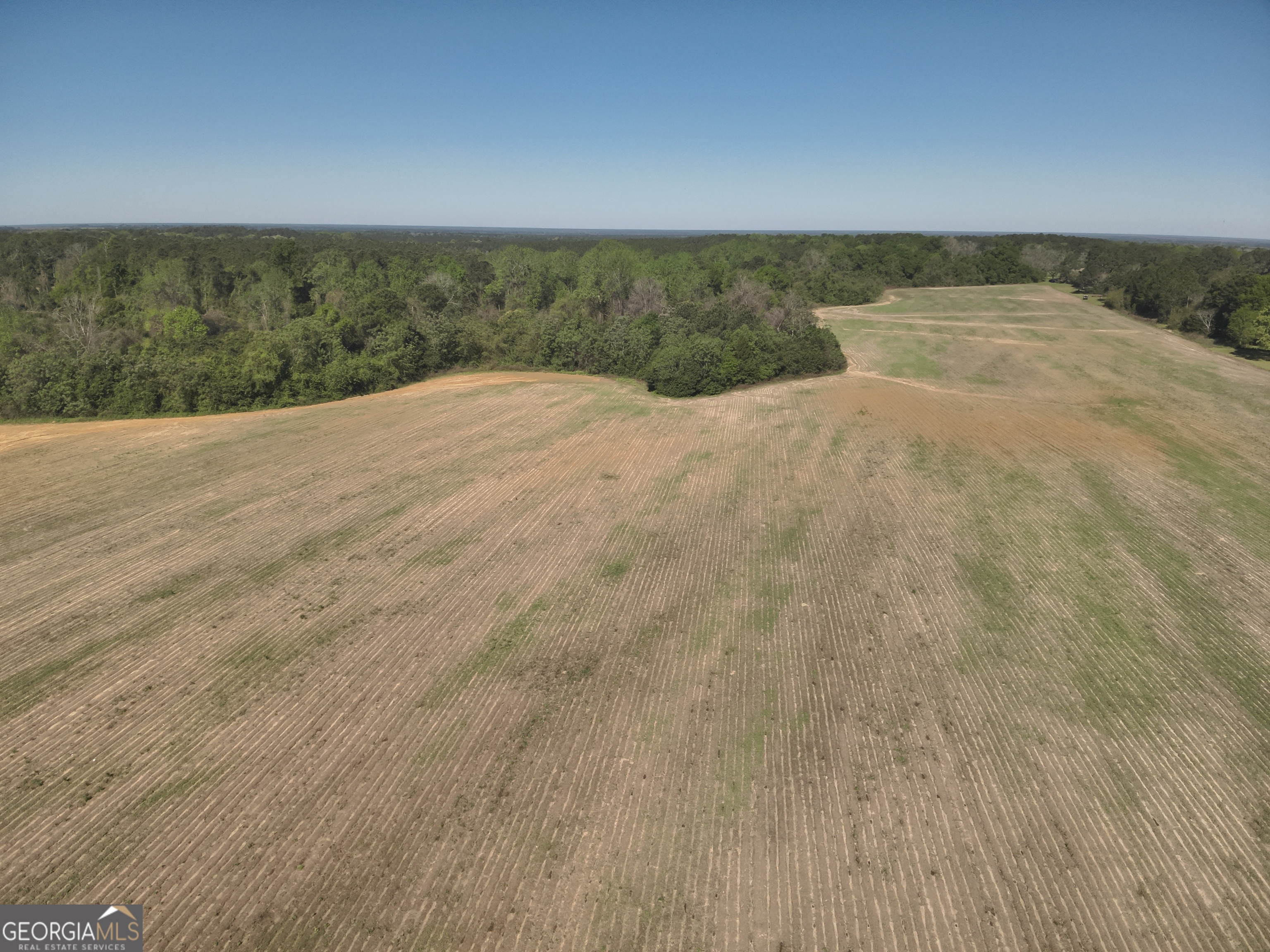 0 Old Pelham Road Pelham, GA 31779 - Photo 5 of 10