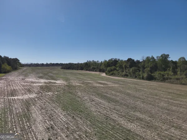 $259,623 | 0 Old Pelham Road, Pelham, GA 31779