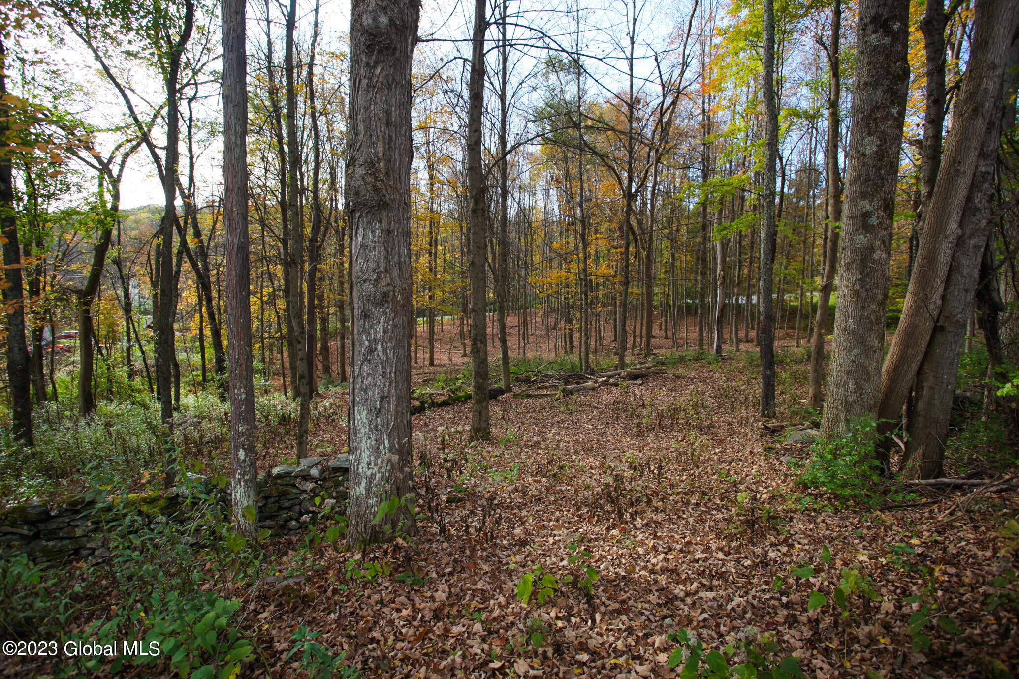 42 Stanton Road Jackson, NY 12873 - Photo 102 of 107 Stanton (34 of 44)