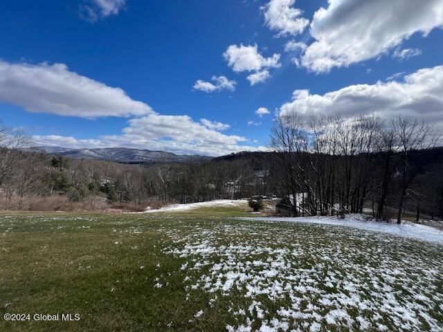 42 Stanton Road Jackson, NY 12873 - Photo 34 of 107 IMG_0756