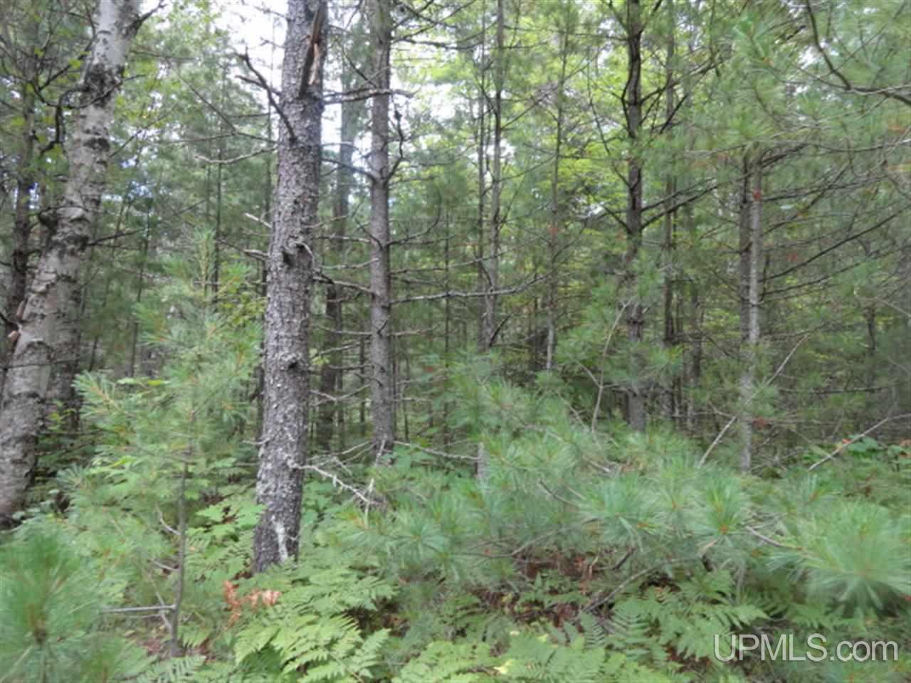 Tbd Chamberlain Road Wetmore, MI 49895 - Photo 2 of 13