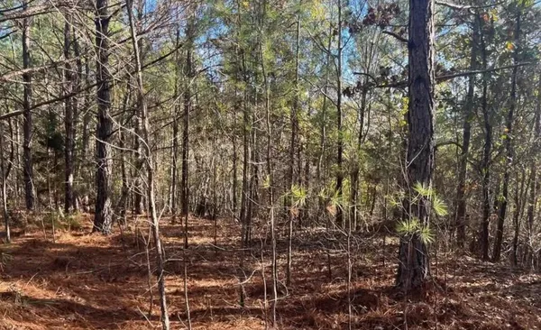 $94,900 | 5030 Sand Mountain Road, Enville, TN 38332