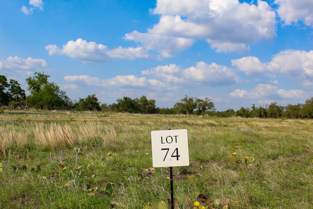 174 Apache Trace Northwest Harper, TX 78631 - Photo 2 of 2 a view of a lake with houses in the back