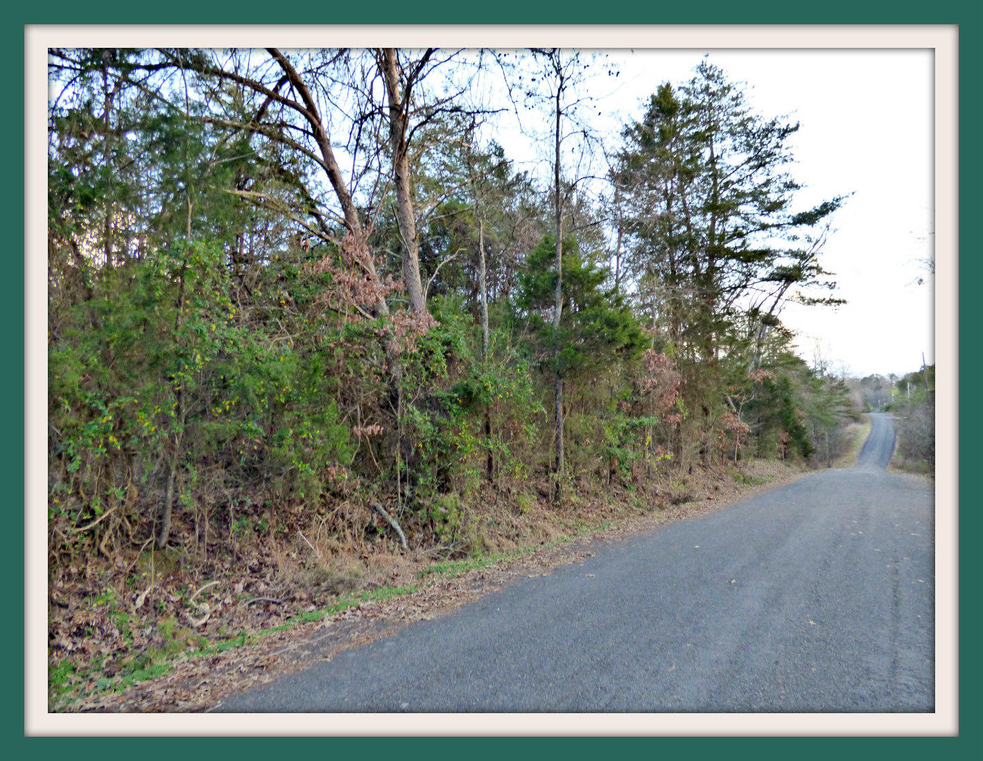 Lot 6 Ranch Road Dandridge, TN 37725 - Photo 1 of 4 P1140433F