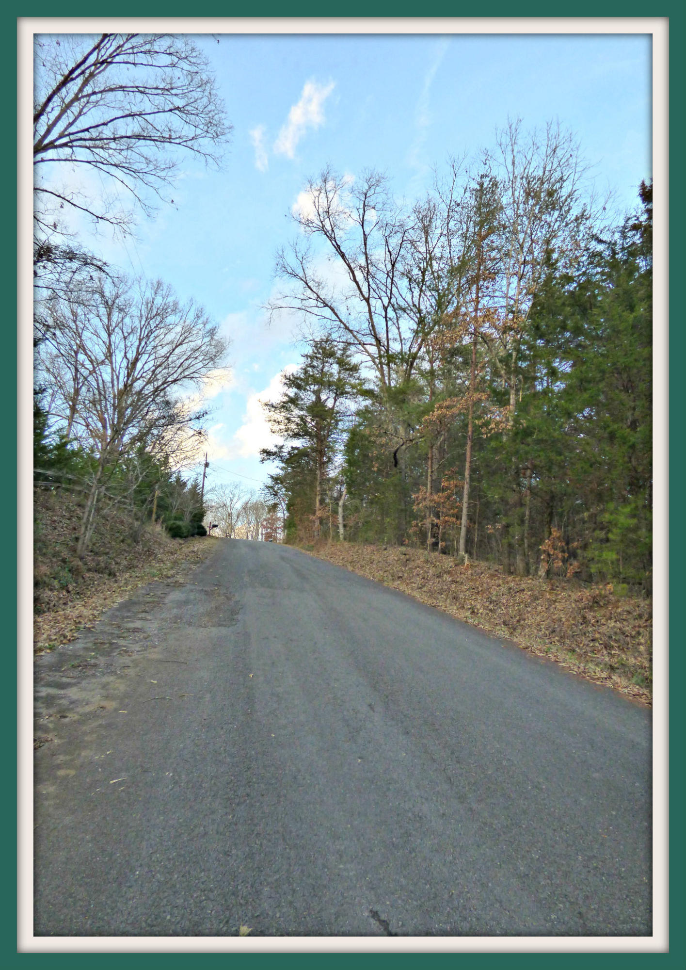 Lot 6 Ranch Road Dandridge, TN 37725 - Photo 2 of 4 P1140430F