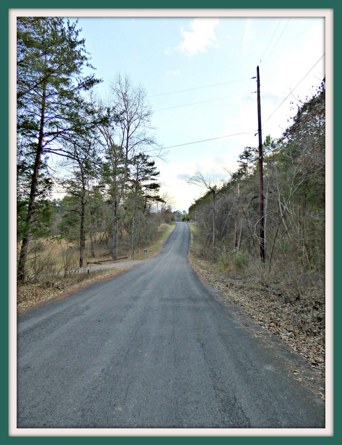Lot 6 Ranch Road Dandridge, TN 37725 - Photo 3 of 4 P1140431F