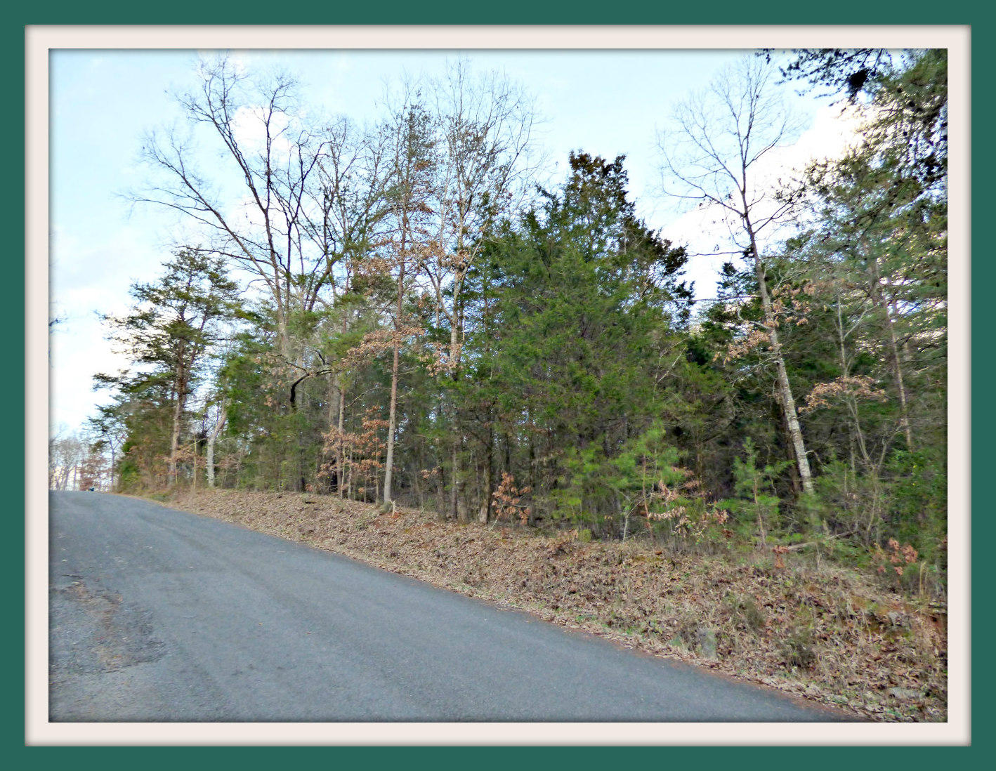 Lot 6 Ranch Road Dandridge, TN 37725 - Photo 4 of 4 P1140432F