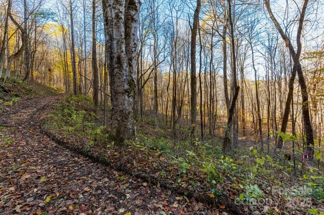 $20,000 | Tbd Appaloosa Trail, Waynesville, NC 28785