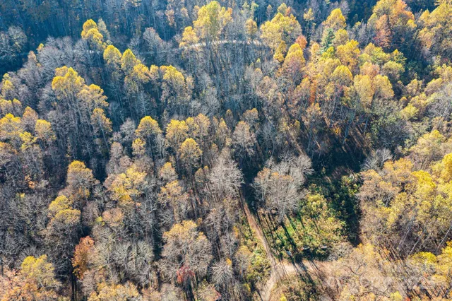 $20,000 | Tbd Appaloosa Trail, Waynesville, NC 28785