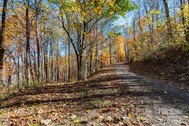 a view of wooden floor