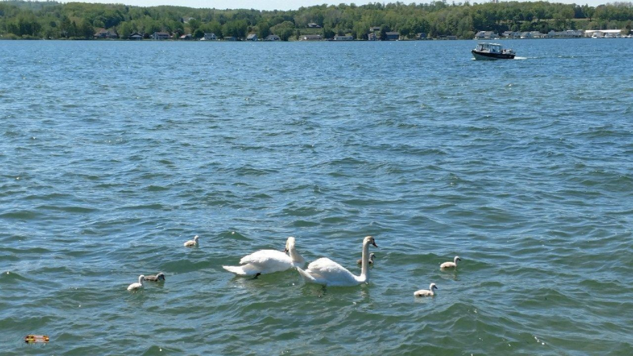 Eagle Ridge, Unit 100 Onekama, MI 49675 - Photo 20 of 21 Portage Lake