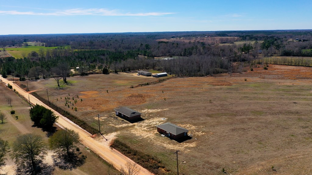 1132 Grant Road Slocomb, AL 36375 - Photo 5 of 14