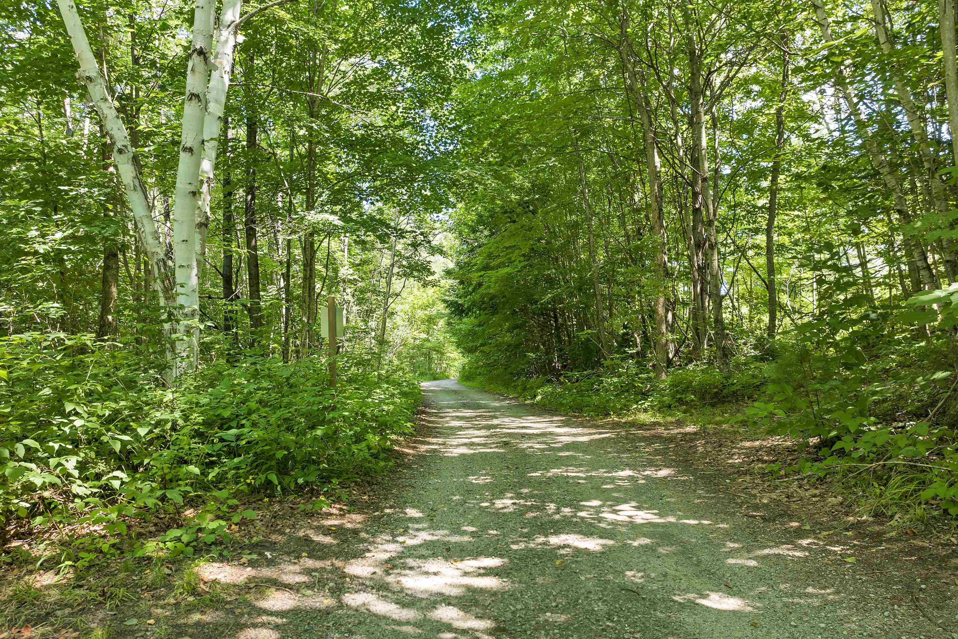 Lot 5 Eastside Road Wentworth, NH 03282 - Photo 3 of 15