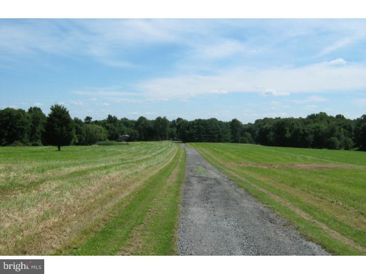 5996 Telegraph Road Elkton, MD 21921 - Photo 2 of 21 Driveway