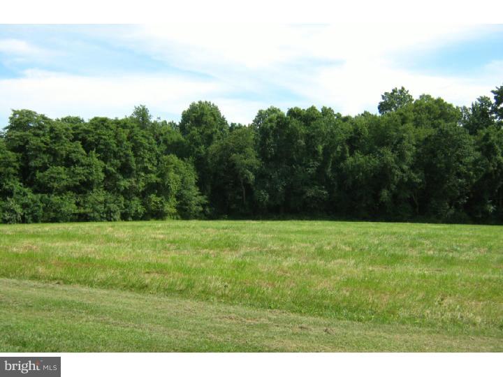 5996 Telegraph Road Elkton, MD 21921 - Photo 15 of 21 View