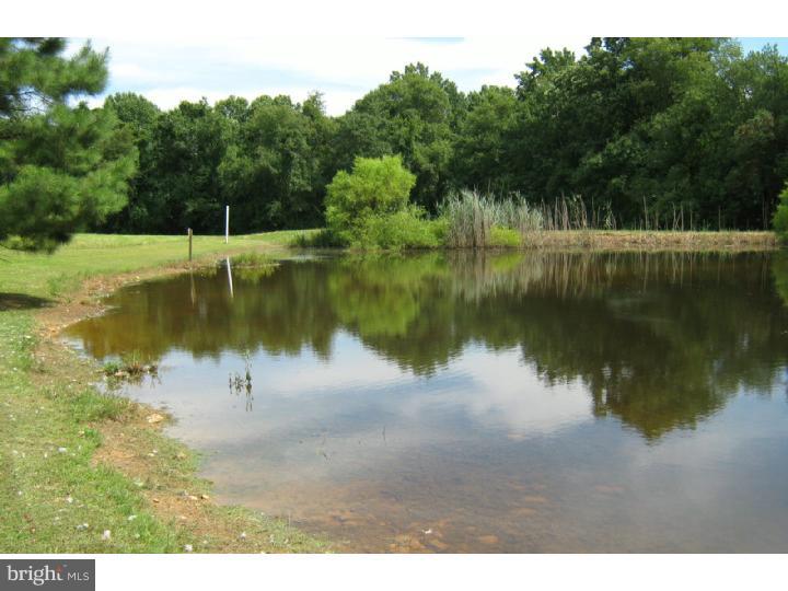 5996 Telegraph Road Elkton, MD 21921 - Photo 16 of 21 View