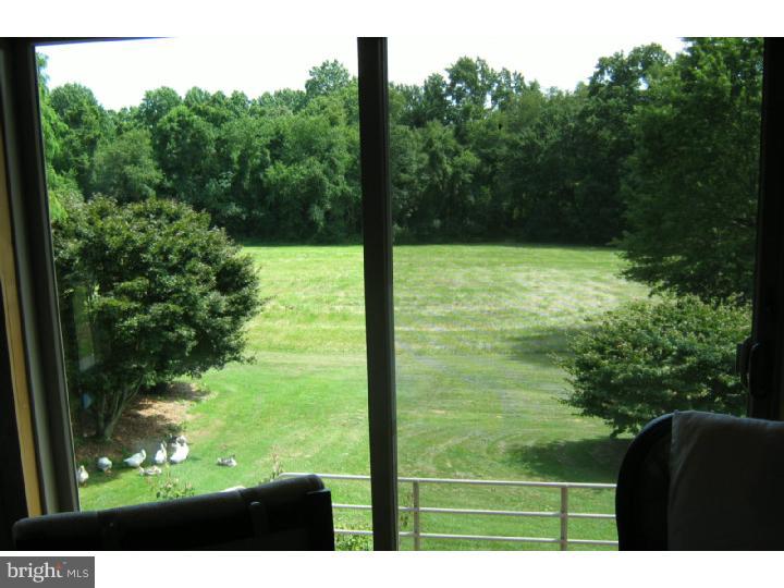 5996 Telegraph Road Elkton, MD 21921 - Photo 8 of 21 View