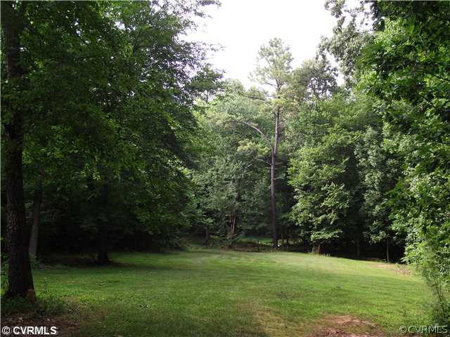 15275 Teman Mill Road Beaverdam, VA 23015 - Photo 3 of 12 a view of a grassy field with trees