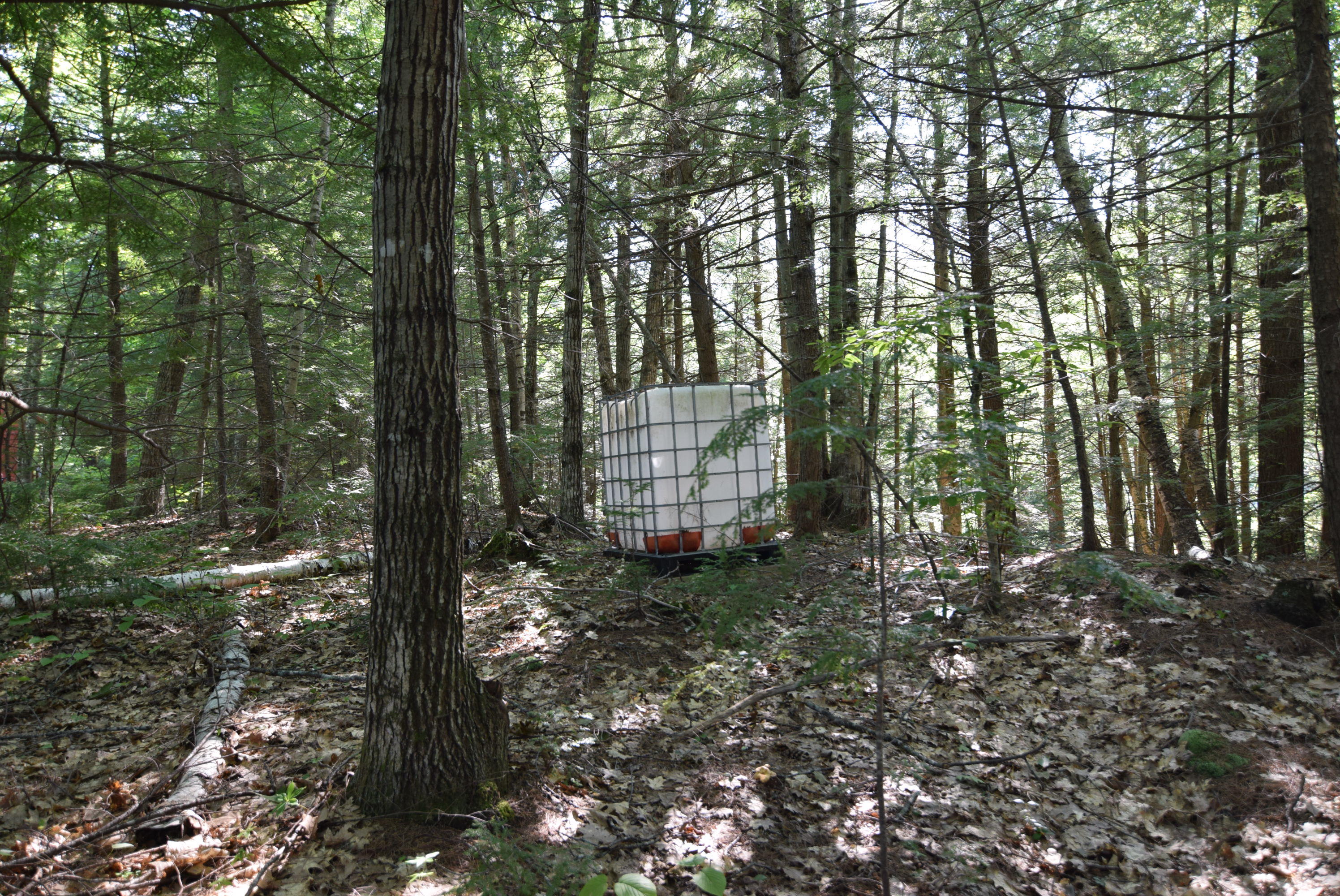 236 Chesterville Ridge Road Kents Hill, ME 04349 - Photo 32 of 41 32-water tank for storage