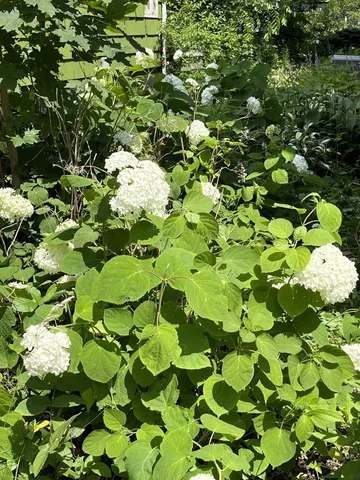 $109,900 | 1157 6th Avenue, Windom, MN 56101