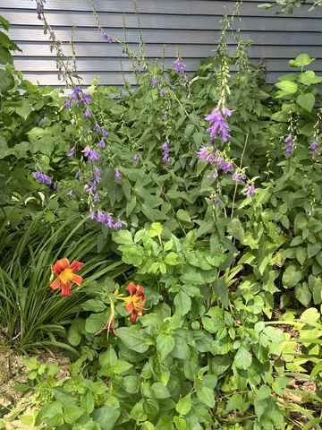 $109,900 | 1157 6th Avenue, Windom, MN 56101