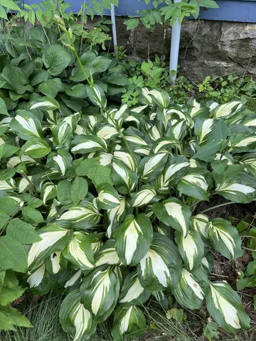 $109,900 | 1157 6th Avenue, Windom, MN 56101