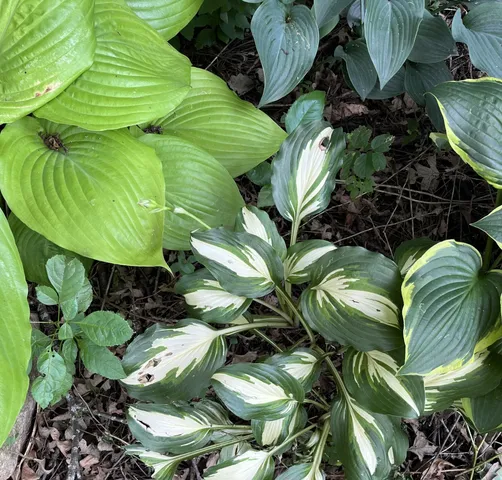 $109,900 | 1157 6th Avenue, Windom, MN 56101