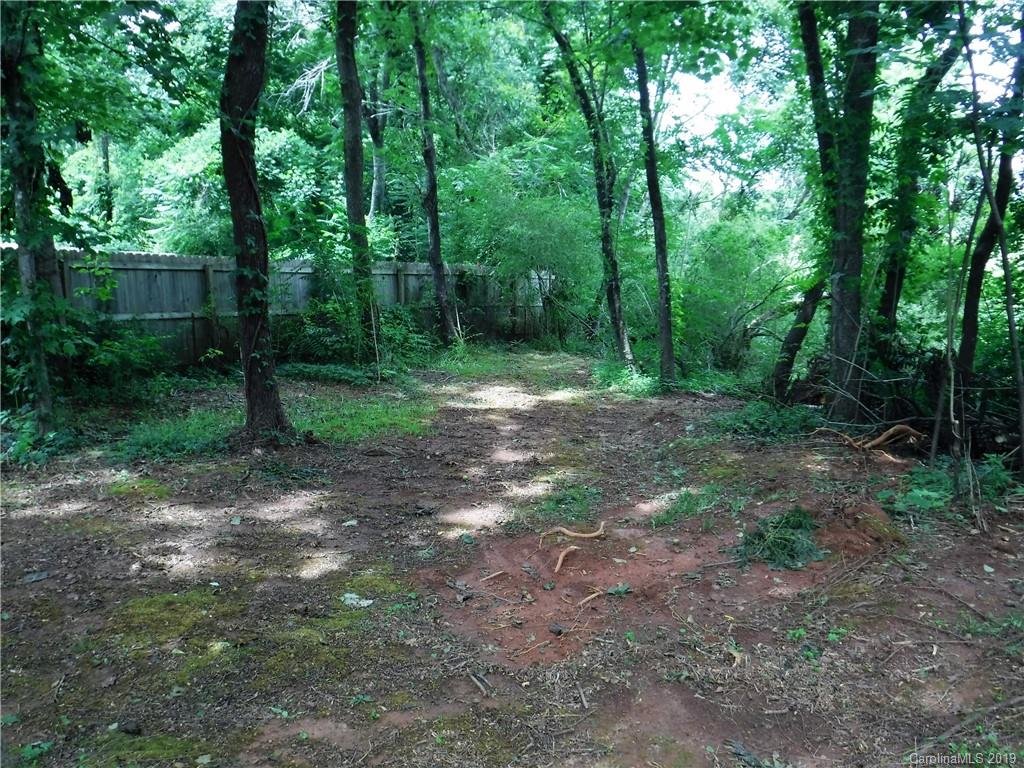 169 Common Wealth Court Rutherfordton, NC 28139 - Photo 36 of 37