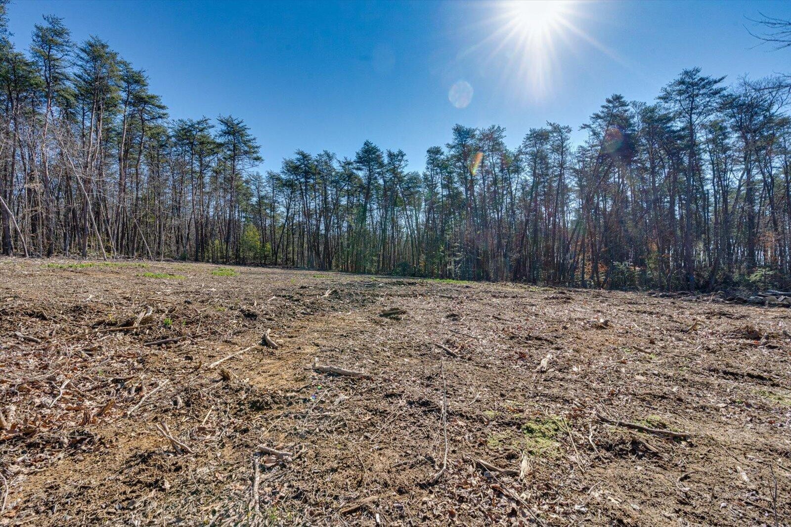 805 Dukes Road Signal Mountain, TN 37377 - Photo 16 of 33 Gallery Image 16