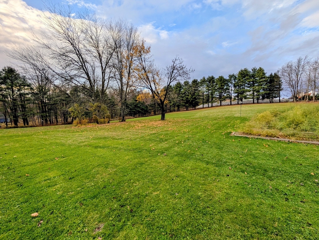 216 Brookfield Road Charlton, MA 01507 - Photo 36 of 42 a view of field with tall trees