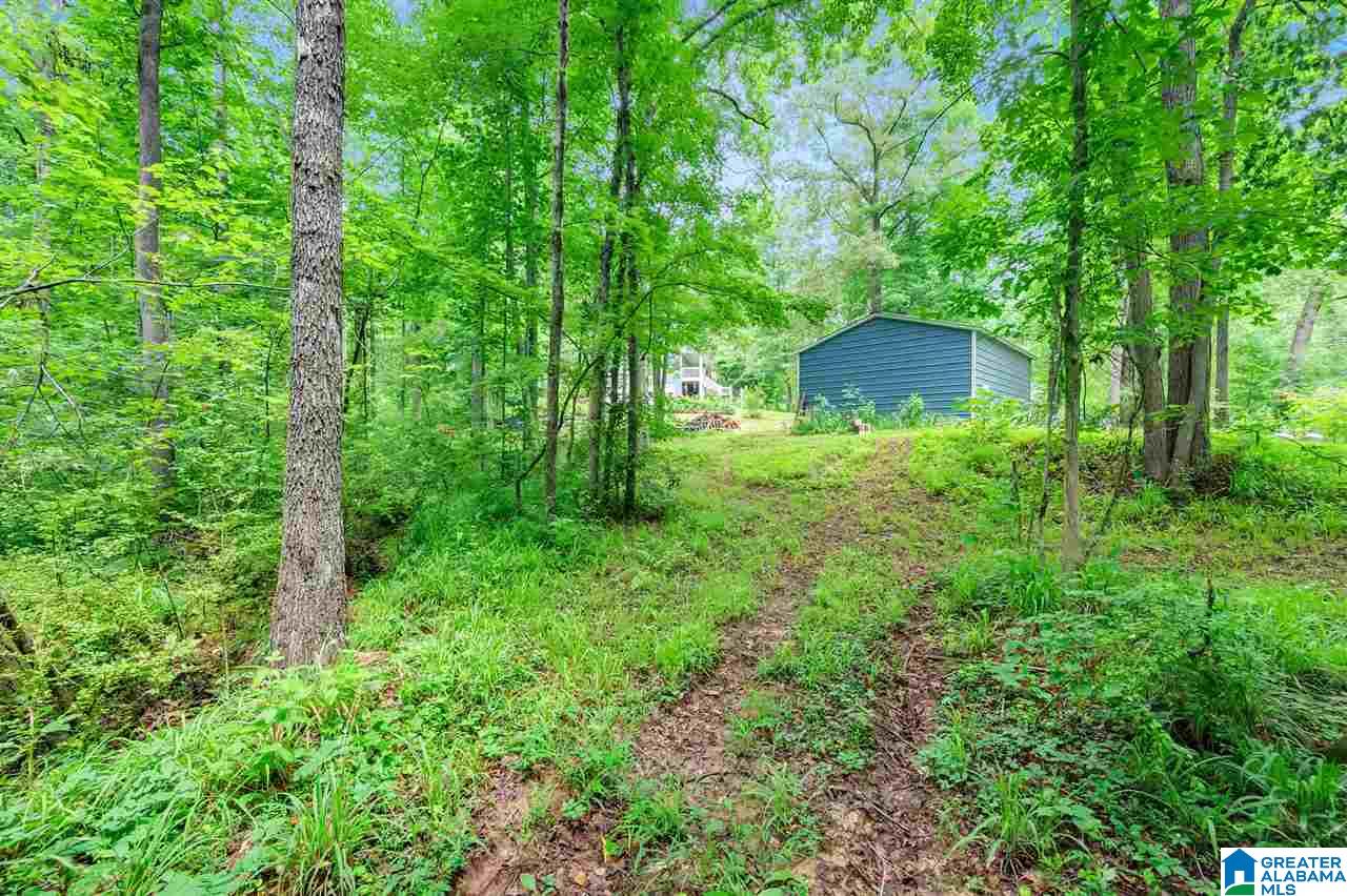 9600 McPherson Road Warrior, AL 35180 - Photo 22 of 24