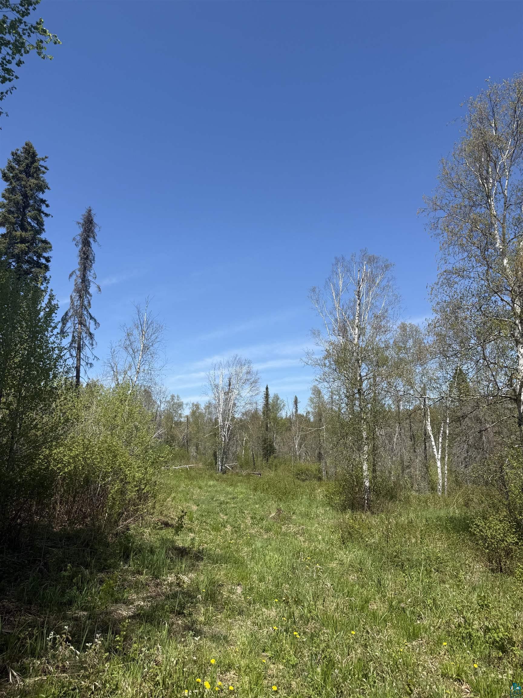 Tbd Crown Creek Road Finland, MN 55603 - Photo 5 of 14 Road leading to the property